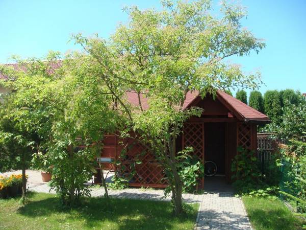 Altanka ogrodowa z grillem rybnym