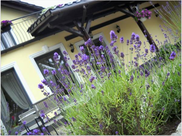 Pokoje Gościnne i Restauracja Lavender