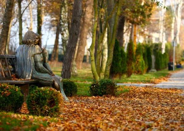 Willa Rogowskich apartamenty i domki 