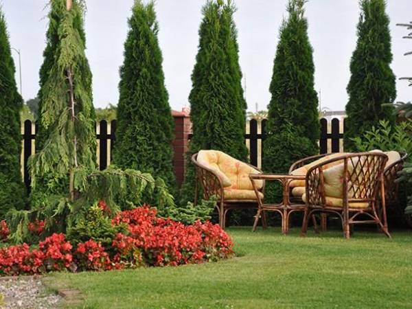 Willa Rogowskich apartamenty i domki 