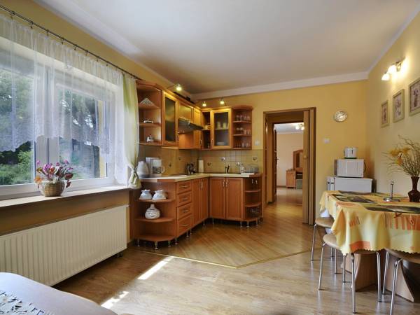 aneks kuchenny w apartamencie