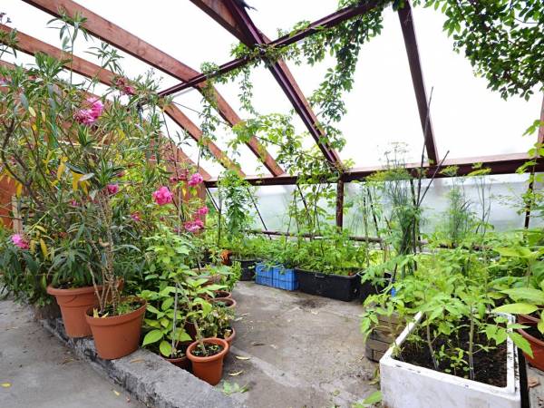 Agroturystyka Rajski Ogród