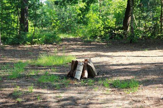Gospodarstwo Agroturystyczne Ostoja