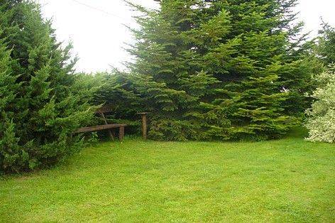 Agroturystyka Zielony Zakątek 