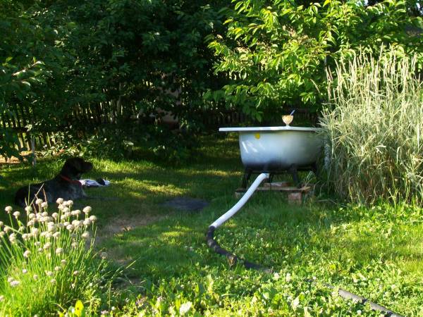 Gospodarstwo Agroturystyczne Dora