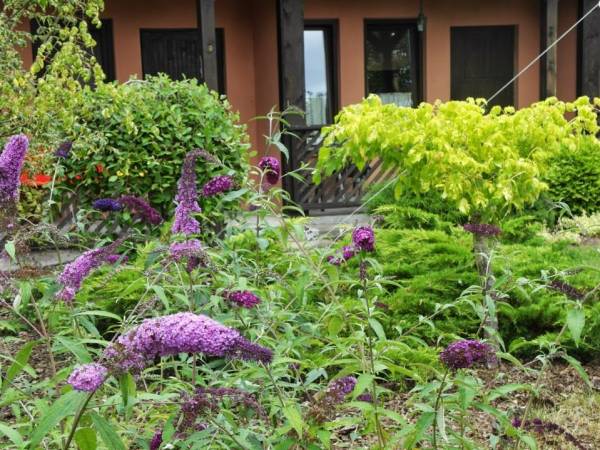 Ośrodek Wczasowy Edward