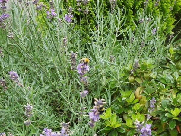 Ośrodek Wczasowy Edward