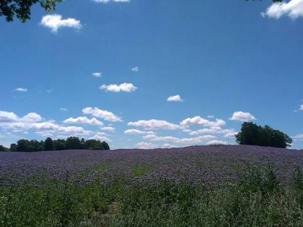 DOMEK SZYMONOWO-OSTRÓDA !! PERŁA MAZUR !!