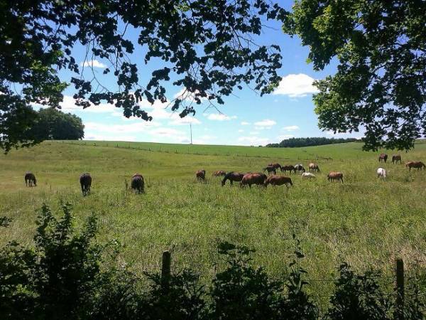 DOMEK SZYMONOWO-OSTRÓDA !! PERŁA MAZUR !!