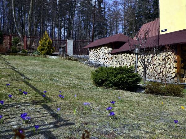 Dom Wypoczynkowy APIS