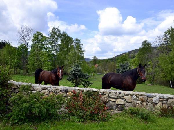 Pokoje gościnne Poniatowscy