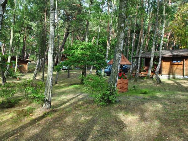 Ośrodek Turystyczno Wypoczynkowy Służba Dziecku