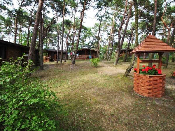 Ośrodek Turystyczno Wypoczynkowy Służba Dziecku