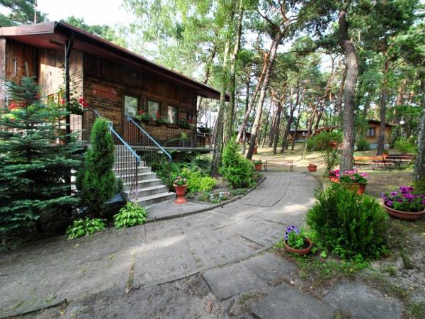 Ośrodek Turystyczno Wypoczynkowy Służba Dziecku