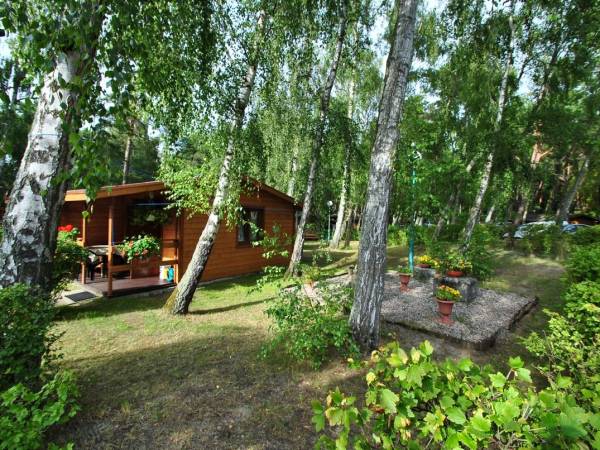 Ośrodek Turystyczno Wypoczynkowy Służba Dziecku