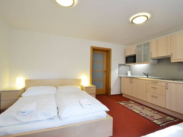 Vila Ľudmila w Tatrzańskiej Łomnicy