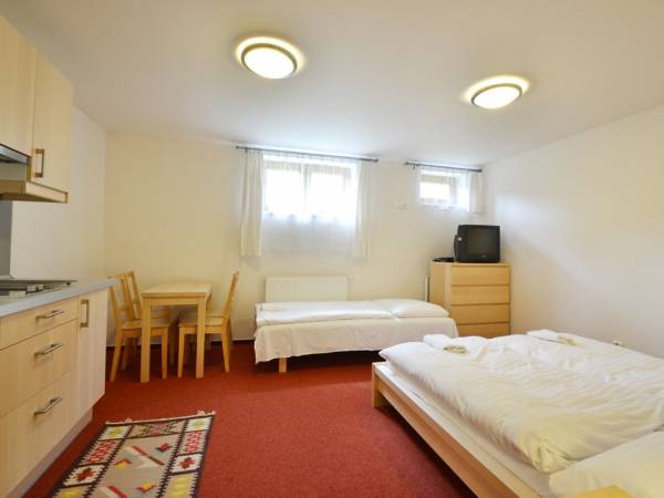 Vila Ľudmila w Tatrzańskiej Łomnicy