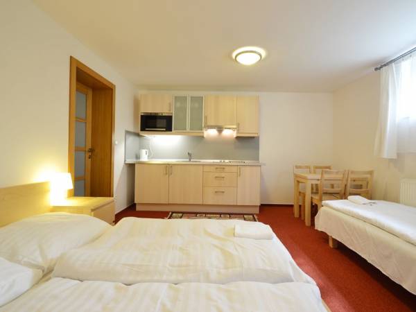 Vila Ľudmila w Tatrzańskiej Łomnicy