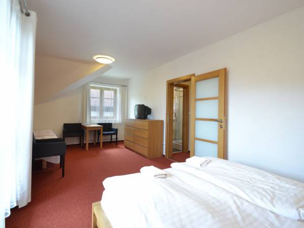 Vila Ľudmila w Tatrzańskiej Łomnicy