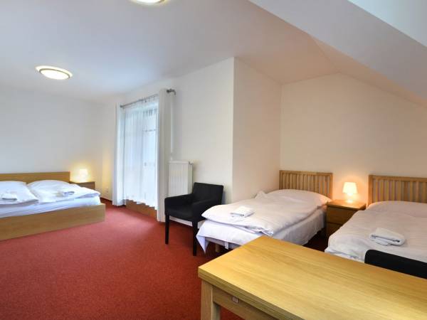 Vila Ľudmila w Tatrzańskiej Łomnicy