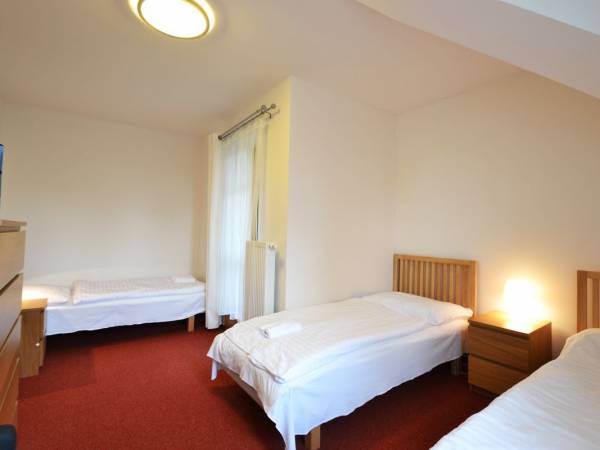 Vila Ľudmila w Tatrzańskiej Łomnicy