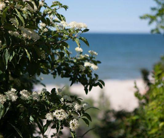 Cóż za pięky widok!
