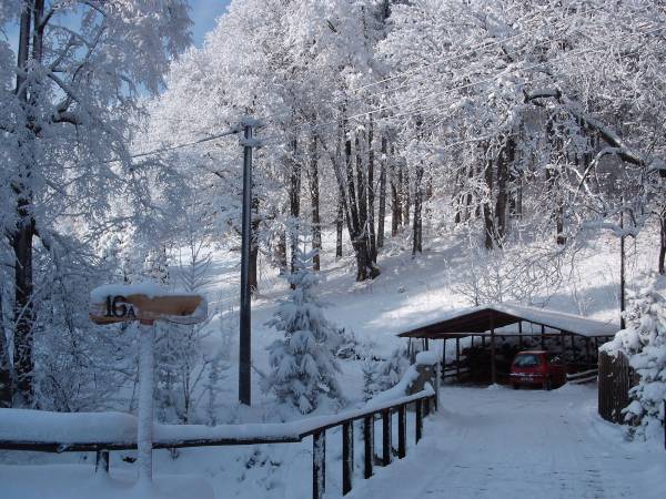 wjazd na posesję, parking zimą