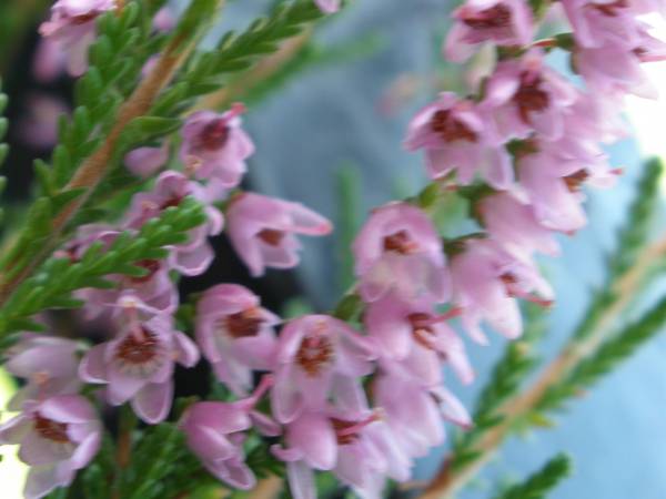 Studio Charly -Parking, WiFi