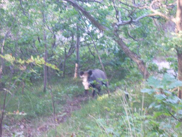 3.Małgorzata Kaleta-Witusiak