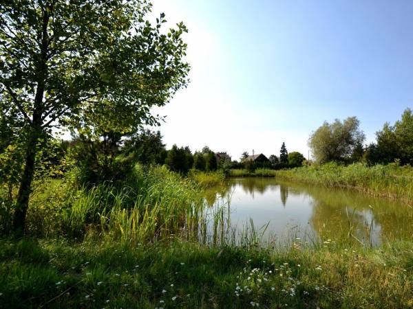 Agroturystyka Pod Bażantem 