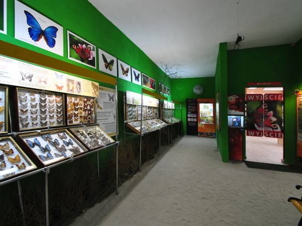 Prywatne Muzeum Motyli