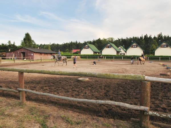 Stadnina koni. Fot. Nocowanie.pl