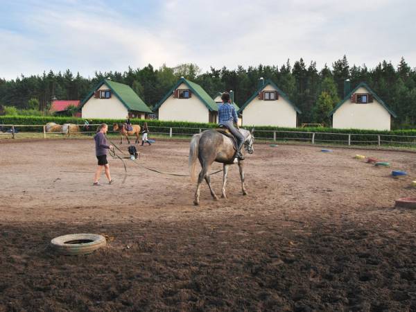 Stadnina koni. Fot. Nocowanie.pl