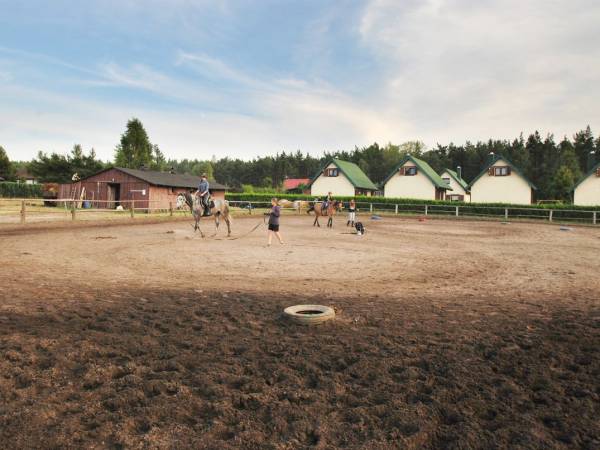 Stadnina koni. Fot. Nocowanie.pl