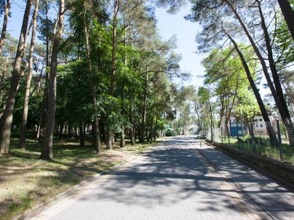 Do plaży jest zaledwie 150 metrów. A dojście szeroką aleją.