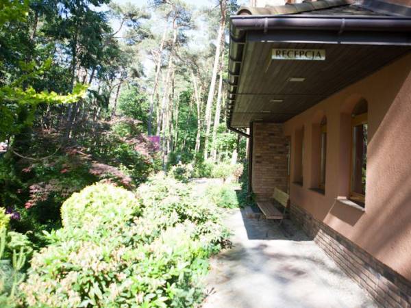 Mamy piękny, zadbany ogród przy budynku.