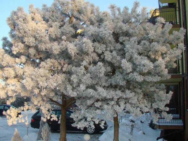 Centrum Wypoczynkowe ORKA