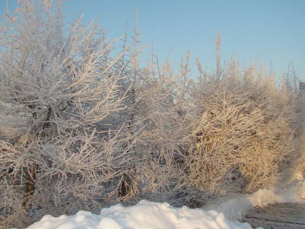 Centrum Wypoczynkowe ORKA