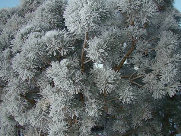 Centrum Wypoczynkowe ORKA