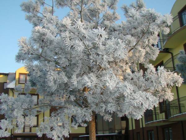 Centrum Wypoczynkowe ORKA