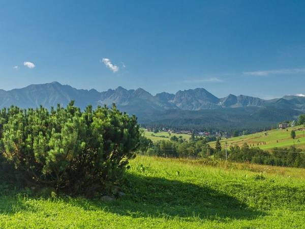 Pokoje Gościnne u Gąsienicy 
