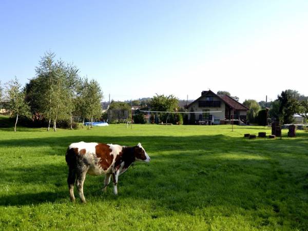 Agroturystyka Sielana