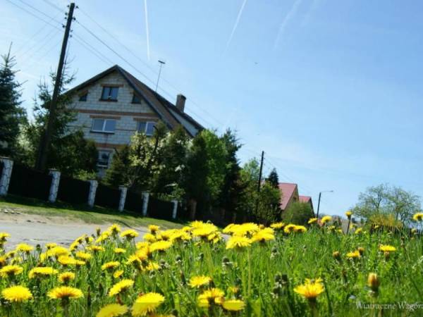 Gospodarstwo agroturystyczne Wiatraczne Wzgórze