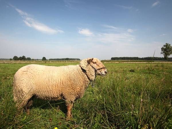 Renata i Piotr Wons agroturystyka