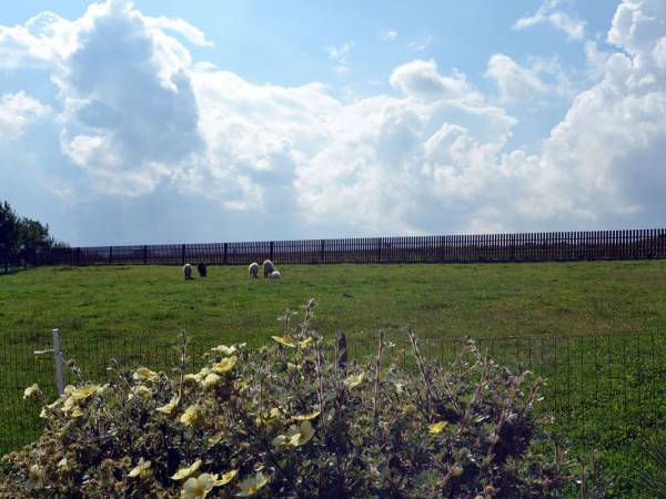 Wynajem pokoi u Lutki