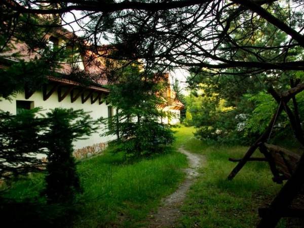 Ścieżka prowadząca do wejścia