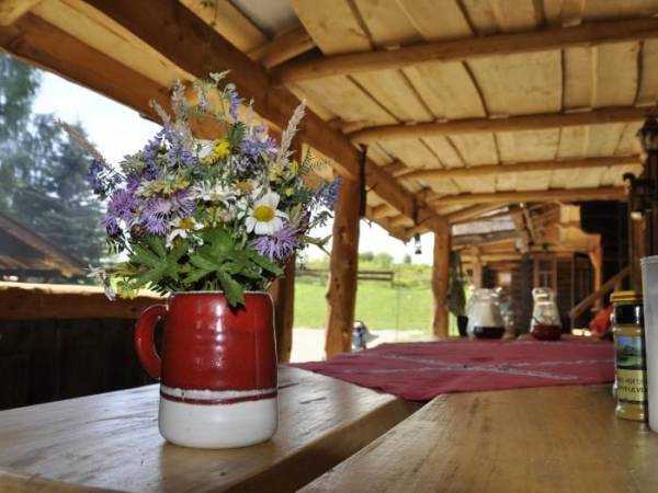 Stadnina Koni Huculskich