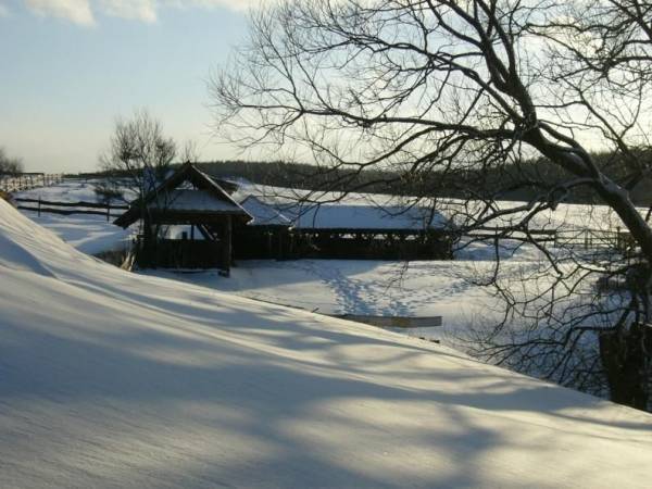 Stadnina Koni Huculskich