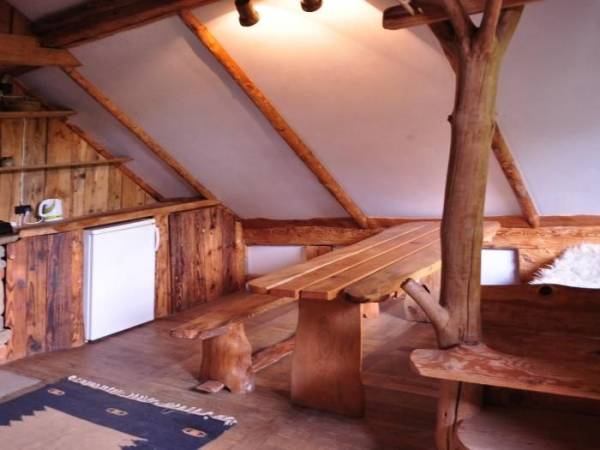 Stadnina Koni Huculskich