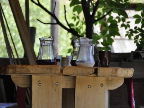 Stadnina Koni Huculskich